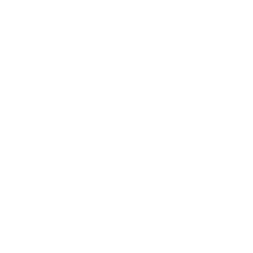 feature-item-4