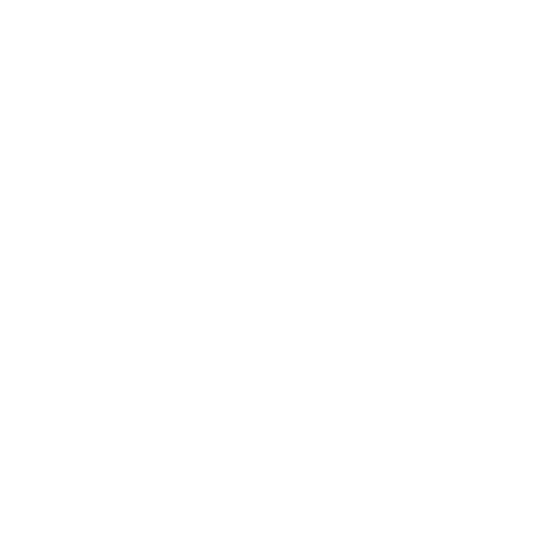 feature-item-1